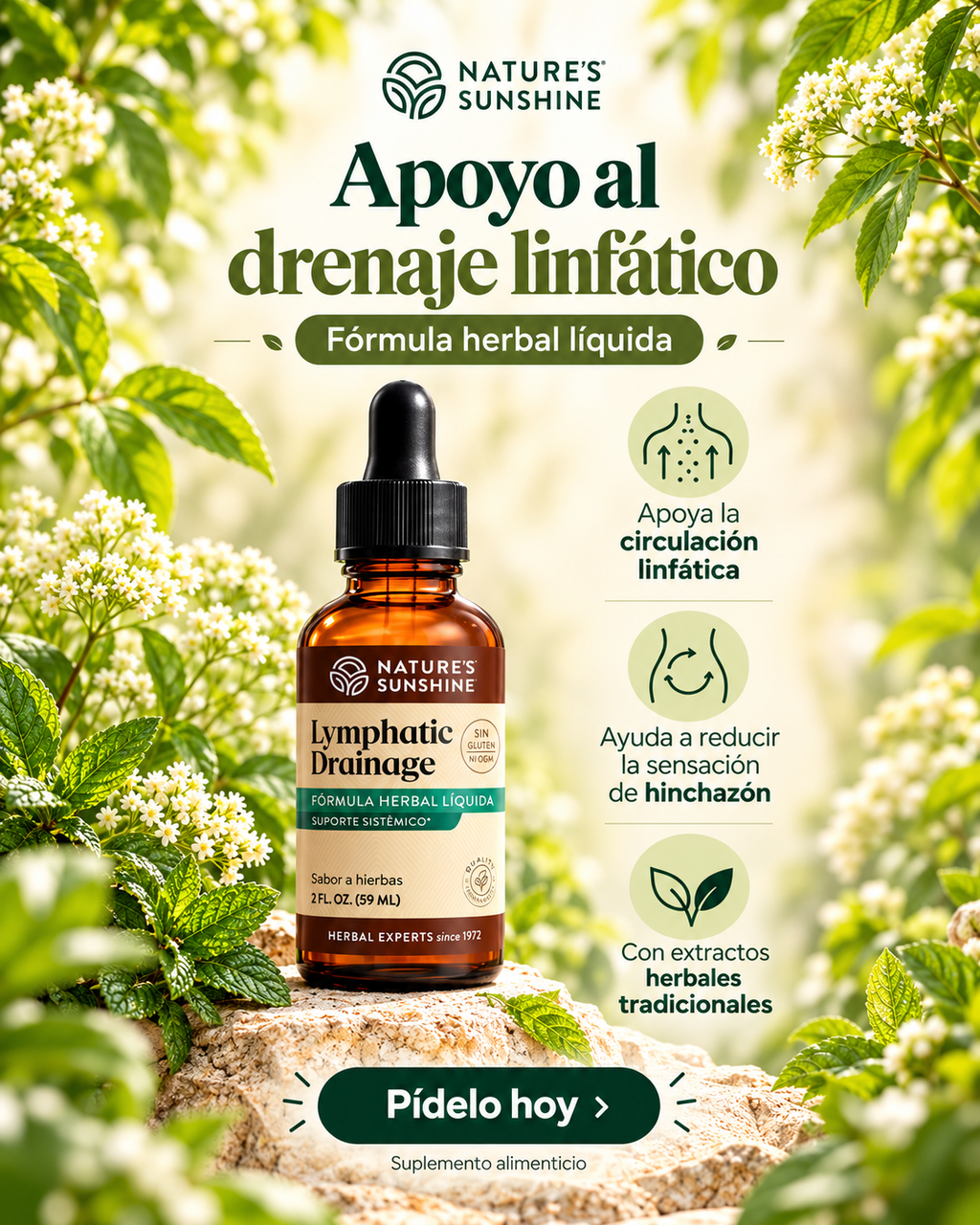 LYMPHATIC DRAINAGE GOTERO