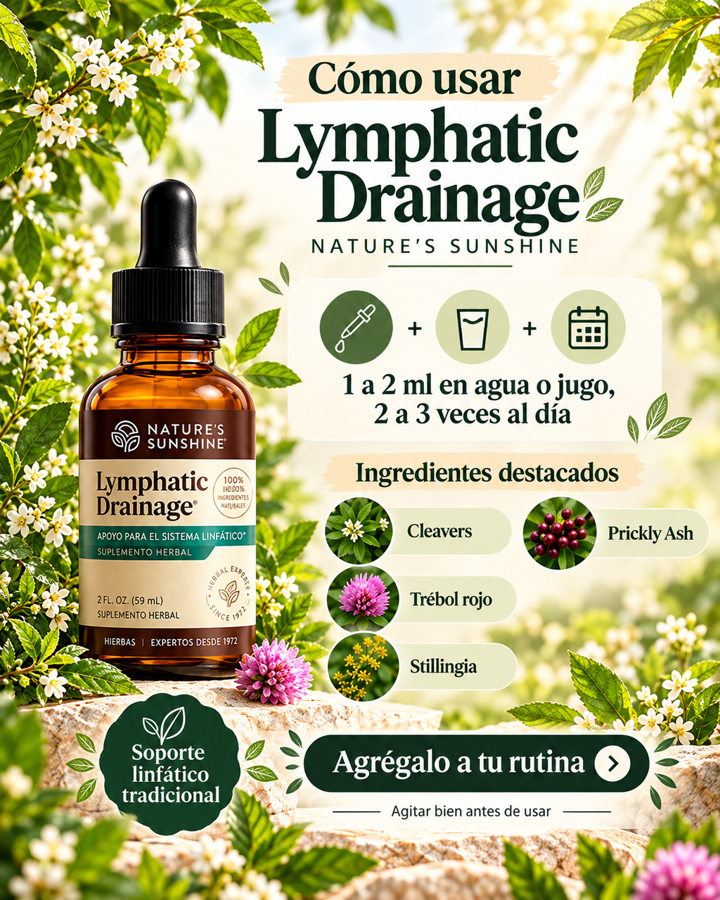LYMPHATIC DRAINAGE GOTERO